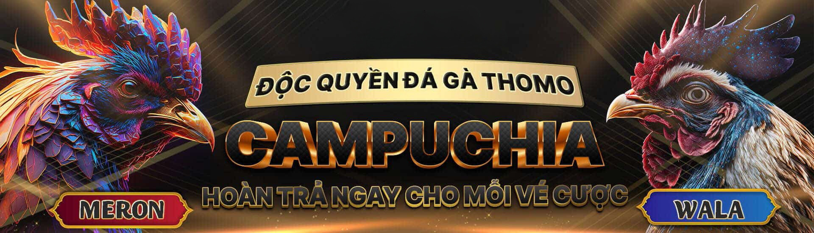 Thiet ke chua co ten 66